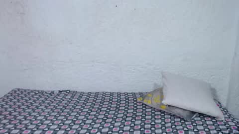 Snapshot of alise_coronado chatting on November 29, 2025, 12:08 pm aliss online show from November 29, 2025, 12:08 pm