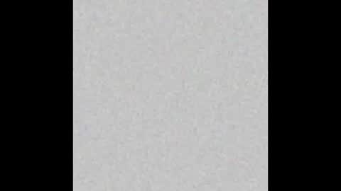 Alisa online show from November 3, 2025, 2:51 pm