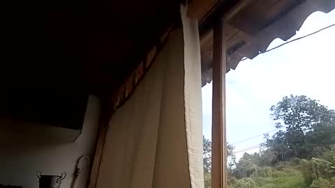 Snapshot of alisson369_ chatting on February 13, 2025, 3:03 pm Alisson369 online show from February 13, 2025, 3:03 pm