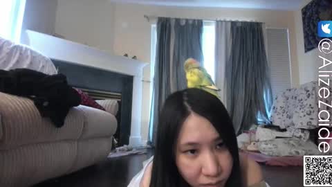 Snapshot of alizezaide chatting on November 17, 2025, 8:58 pm Alize Zaide online show from November 17, 2025, 8:58 pm