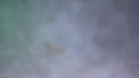Snapshot of all_most_sane chatting on May 17, 2026, 3:30 pm all_most_sane online show from May 17, 2026, 3:30 pm