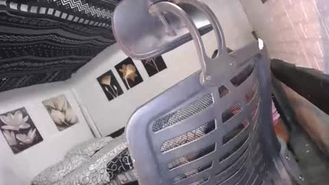 trina online show from December 16, 2025, 10:09 am