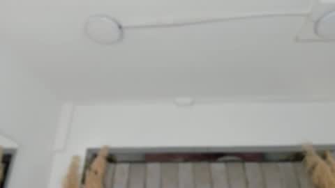    online show from February 2, 2026, 10:47 am