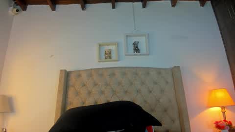 Snapshot of allisson_m chatting on February 26, 2026, 12:04 pm allisson online show from February 26, 2026, 12:04 pm