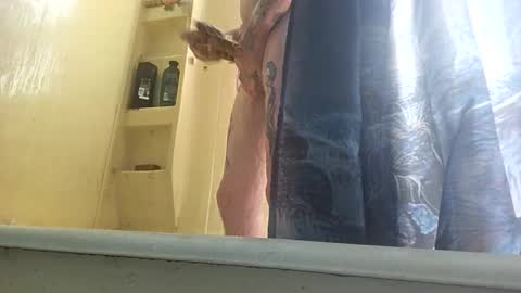 Snapshot of allwolf0323 chatting on September 30, 2025, 4:45 pm allwolf0323 online show from September 30, 2025, 4:45 pm