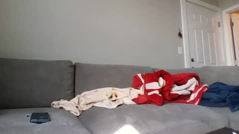 allylove2626 online show from September 9, 2025, 4:39 pm