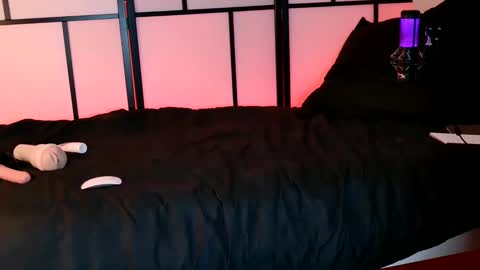 Snapshot of allys_secret chatting on December 3, 2024, 8:17 pm Call me Ally  online show from December 3, 2024, 8:17 pm