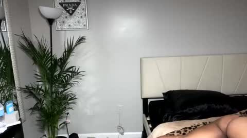 alongcamelexy online show from October 9, 2025, 4:43 am