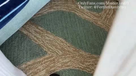 Snapshot of alphamasterjax chatting on October 27, 2025, 4:00 pm MasterJax69 online show from October 27, 2025, 4:00 pm