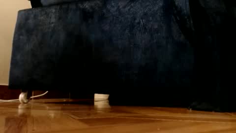 ur god online show from March 1, 2026, 12:12 am