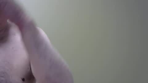 altoplay69 online show from June 8, 2026, 1:28 am