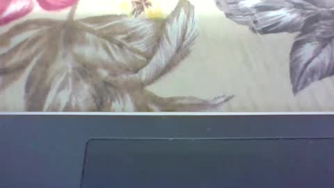 Snapshot of alydie7 chatting on April 12, 2026, 4:50 am alydie7 online show from April 12, 2026, 4:50 am