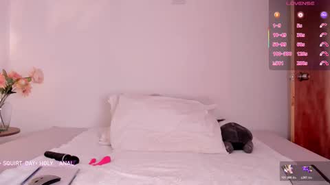 Aly Instg oficial alyjones  Lush and Domi love toys are on online show from February 15, 2026, 6:15 pm