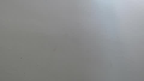 Amaranta online show from April 4, 2026, 12:46 pm