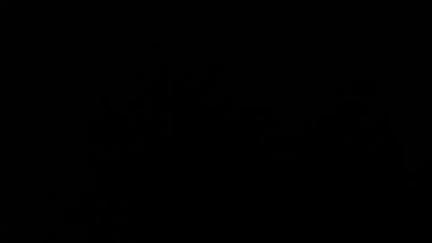 Amarantha online show from January 19, 2025, 1:55 pm