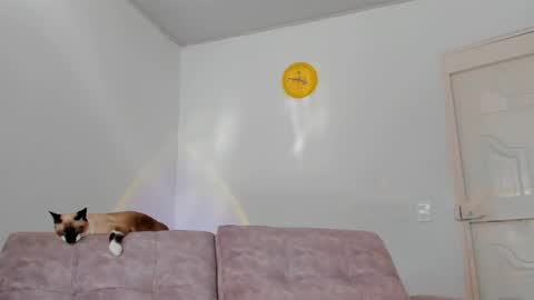 Snapshot of amatiistur chatting on February 15, 2025, 8:54 pm Tammy online show from February 15, 2025, 8:54 pm