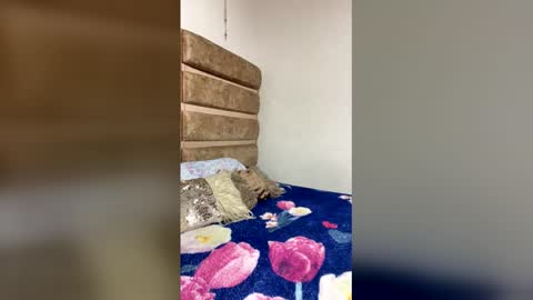 amber_bailey1 online show from December 17, 2025, 5:46 am