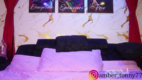     online show from November 30, 2025, 10:41 am