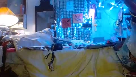 ambionce online show from March 27, 2026, 8:26 am