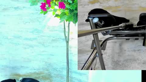  AMELIA.  online show from March 15, 2026, 1:33 am