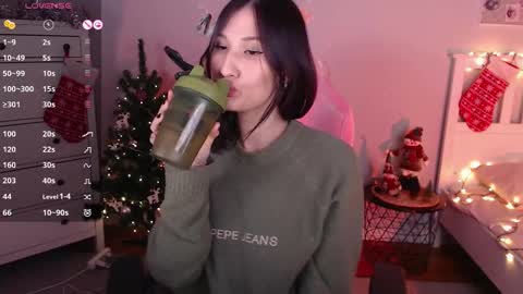 Snapshot of aminegulse chatting on January 2, 2025, 4:30 am Camilla online show from January 2, 2025, 4:30 am