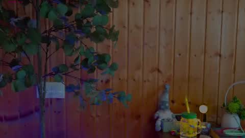 Snapshot of anabelcurvy chatting on June 12, 2026, 2:16 pm anabelcurvy online show from June 12, 2026, 2:16 pm
