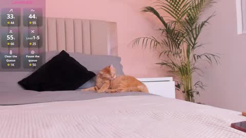 Snapshot of anahenao chatting on February 1, 2025, 12:40 am Ana Henao or Annie... Follow me ahenaocb Insta X online show from February 1, 2025, 12:40 am