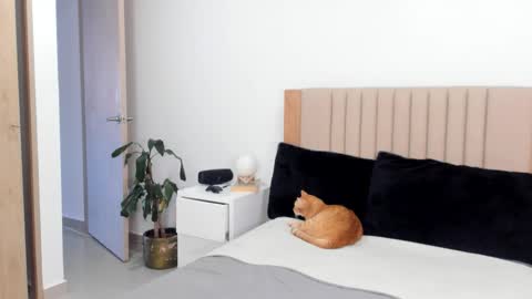 Snapshot of anahenao chatting on October 25, 2025, 9:42 pm Ana Henao or Annie... Follow me ahenaocb Insta X online show from October 25, 2025, 9:42 pm