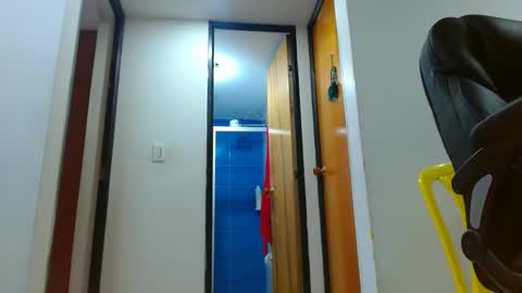 anaids online show from November 27, 2025, 2:30 pm