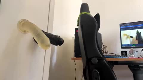 analass_ online show from September 20, 2025, 11:00 am