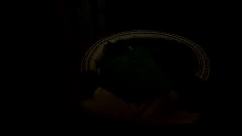 analia18  online show from January 17, 2025, 6:33 pm