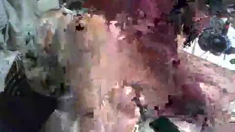 kinkylilanalslut online show from January 23, 2025, 11:37 am