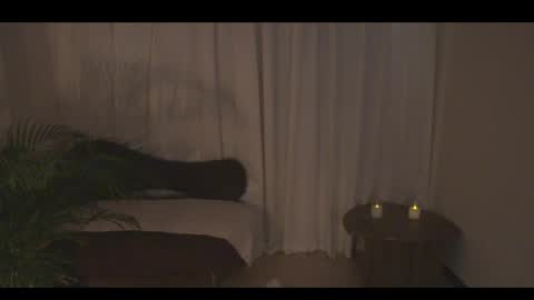 Ann online show from April 10, 2026, 7:18 pm