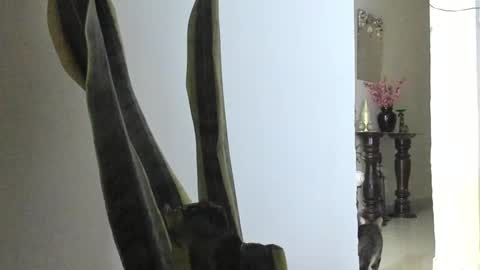 Snapshot of anapakerman chatting on March 9, 2025, 12:42 am Ana Pakerman online show from March 9, 2025, 12:42 am