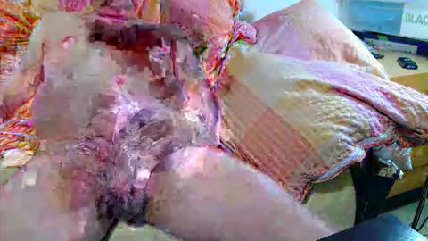 Snapshot of andi84k chatting on November 20, 2025, 4:34 am Andi online show from November 20, 2025, 4:34 am