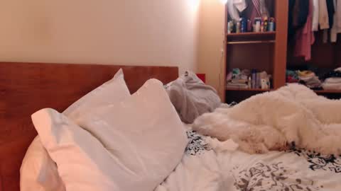 Andra online show from February 25, 2025, 4:10 pm