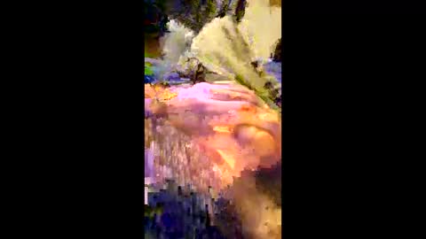 Snapshot of andrefeetlover11849 chatting on December 17, 2025, 6:36 pm andrefeetlover11849 online show from December 17, 2025, 6:36 pm