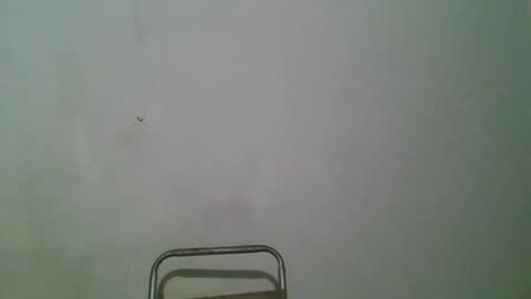 andy101075 online show from April 16, 2026, 4:35 am