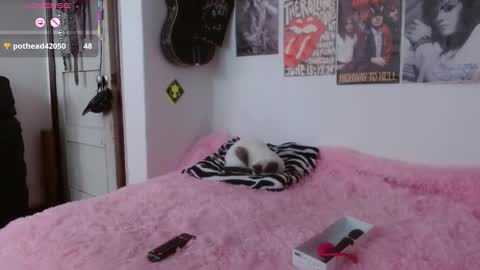 Snapshot of andy_rock_ chatting on November 6, 2025, 2:29 pm andy online show from November 6, 2025, 2:29 pm