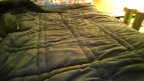 andywan94 online show from January 20, 2025, 1:42 pm