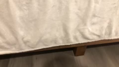 Mira13 online show from February 14, 2026, 6:32 am