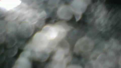 angeltta69 online show from April 8, 2026, 6:35 am