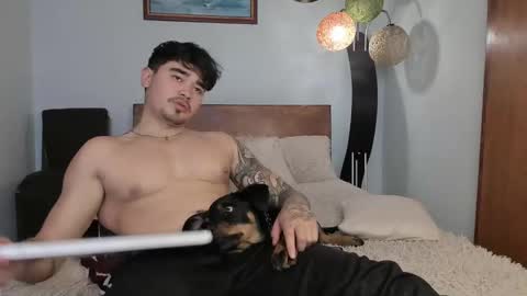 Angel Fox online show from December 3, 2024, 6:17 pm