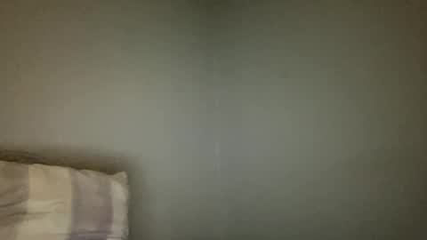 Snapshot of animeboygirls chatting on January 2, 2025, 7:12 am Animeboygirls online show from January 2, 2025, 7:12 am