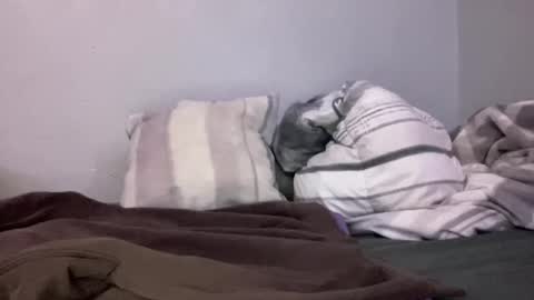 Snapshot of animeboygirls chatting on January 10, 2025, 5:05 am Animeboygirls online show from January 10, 2025, 5:05 am