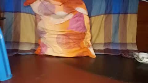 Snapshot of anis4551 chatting on September 21, 2025, 7:37 pm anis4551 online show from September 21, 2025, 7:37 pm