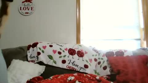 anne online show from January 5, 2026, 5:49 pm