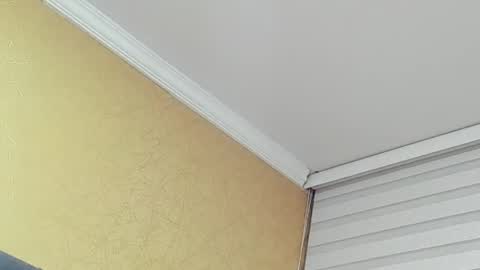       online show from March 31, 2026, 12:45 am