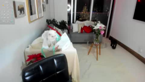 Anny online show from December 1, 2025, 1:54 am