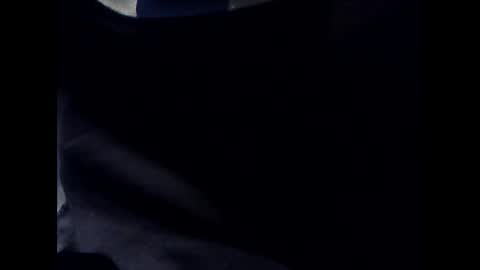 Snapshot of antxon12 chatting on January 1, 2025, 6:49 pm antxon12 online show from January 1, 2025, 6:49 pm